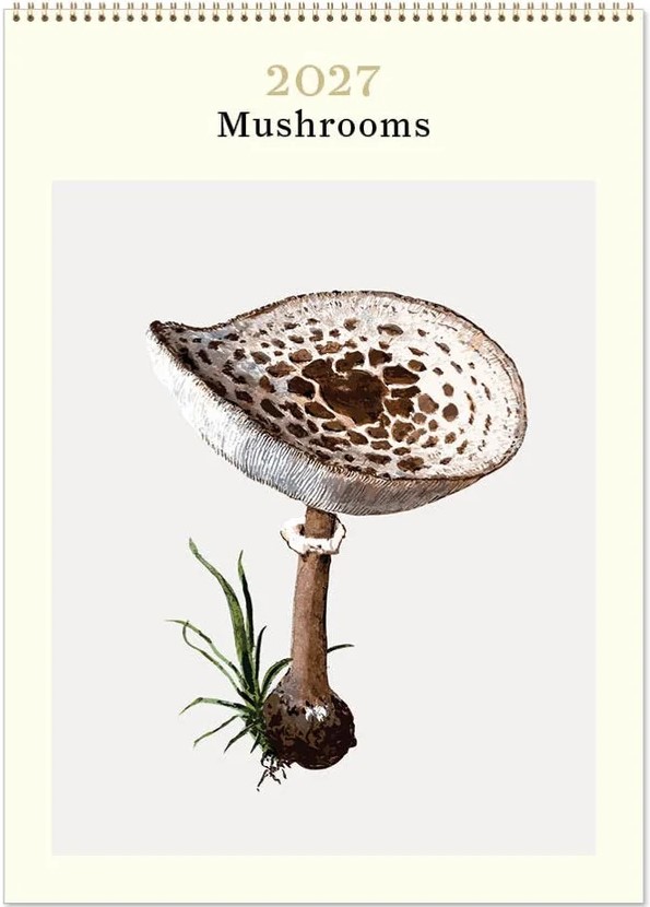 2027 Mushrooms - Wall Calendar