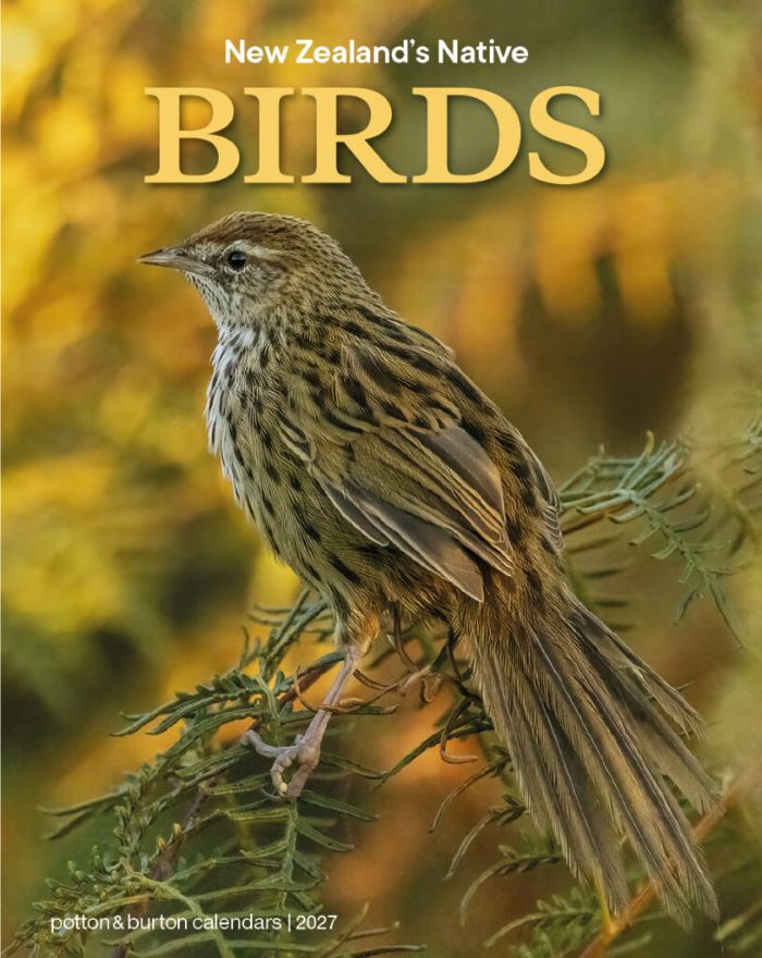 New Zealands Native Birds - 2027 Mini Calendar