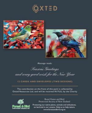 Christmas Cards - Forest and Bird Charity - 12 Pack