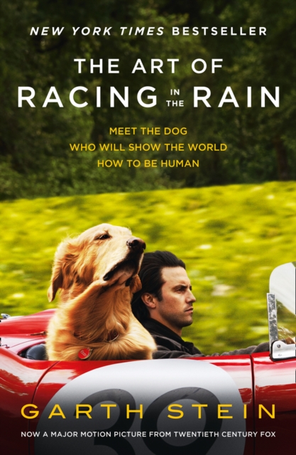 Art Of Racing In The Rain