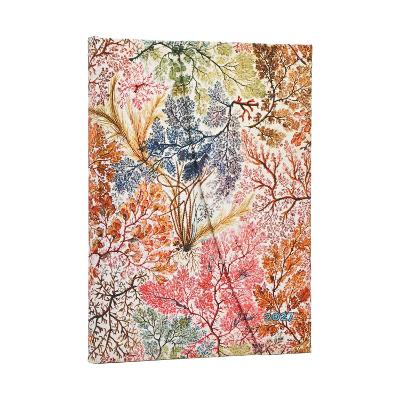 2027 Anemone (William Kilburn) Midi 12-Month Hardcover Dayplanner (Wrap Closure) Horizontal