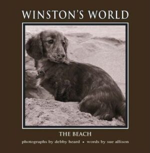 Winstons World - The Beach