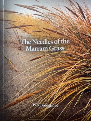 Needles Of The Marram Grass