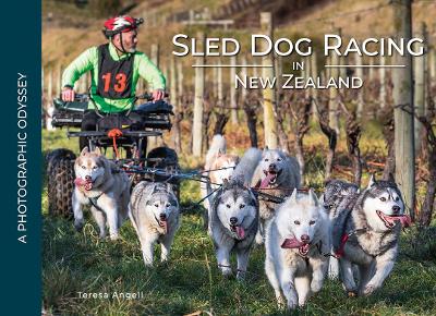 Sled Dog Racing In New Zealand: A Photographic Odyssey