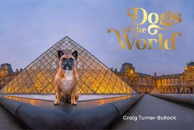 Dogs Of The World