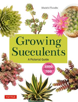 Growing Succulents - A Pictorial Guide to Planting and Design - Bruce ...