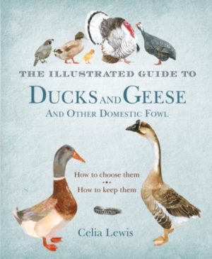 Illustrated Guide To Ducks And Geese