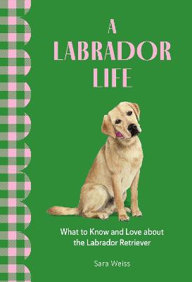 Labrador Life - What to Know and Love About the Labrador Retriever