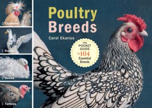 Poultry Breeds - The Pocket Guide To 104 Essential Breeds