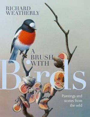 Brush with Birds - Paintings and Stories from the Wild