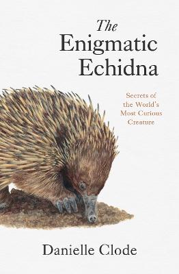 Enigmatic Echidna – Secrets of the World’s Most Curious Creature