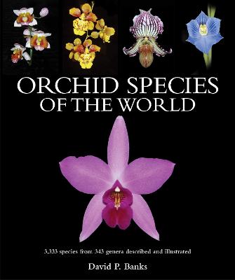 Orchid Species of the World - 3,333 species from 343 genera described and illustrated