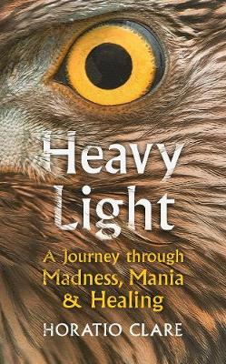 Heavy Light - A Journey Through Madness Mania And Healing
