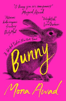 Bunny - 1 Bunny