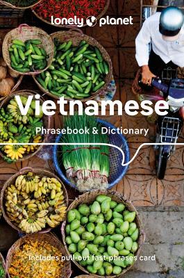 Vietnamese Phrasebook And Dictionary - Lonely Planet