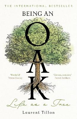 Being An Oak - Life as a tree