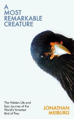 Most Remarkable Creature - Hidden Life And Epic Journey Of The Worlds Smartest Bird Of Prey