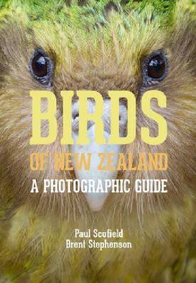 Birds of New Zealand - A Photographic Guide