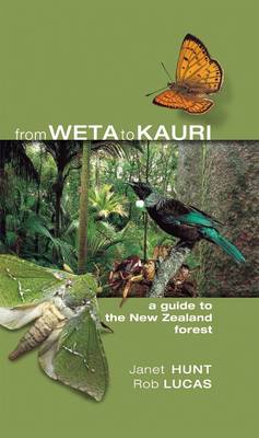 From Weta To Kauri - A Guide To The New Zealand Forest