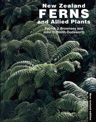 New Zealand Ferns And Allied Plants