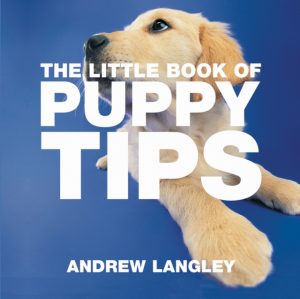 Little Book Of Puppy Tips
