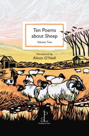 Ten Poems About Sheep - Volume 2 - Instead Of A Card
