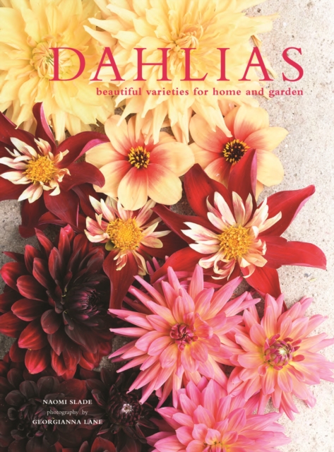 Dahlias - Beautiful Varieties For Home And Garden