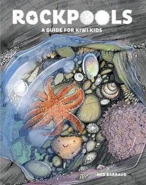 Rock Pools - A Guide For Kiwi Kids